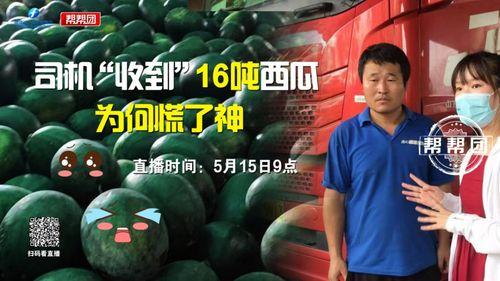 今日吃瓜完整版在线观看,热点事件深度解析