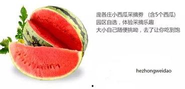 娱乐吃瓜封面怎么做的,创意与技巧的完美融合